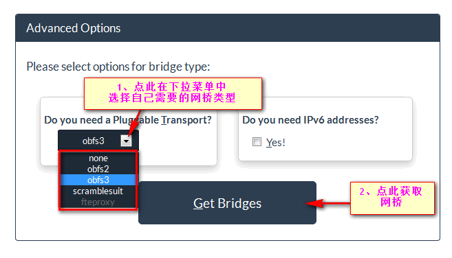 Tor获得最新网桥ip及设置方法